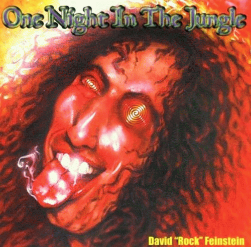Dave Feinstein : One Night in the Jungle